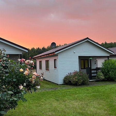 Anida Rusinowo Villa Rusinowo  Buitenkant foto